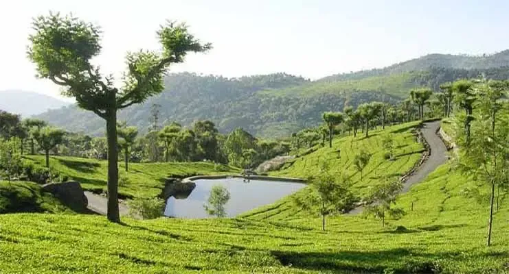 KOTHAGIRI