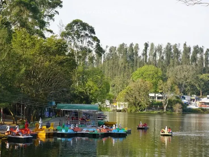 YERCAUD